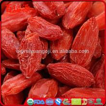 Gojiberrys goji berries cru goji chinês goji chinês